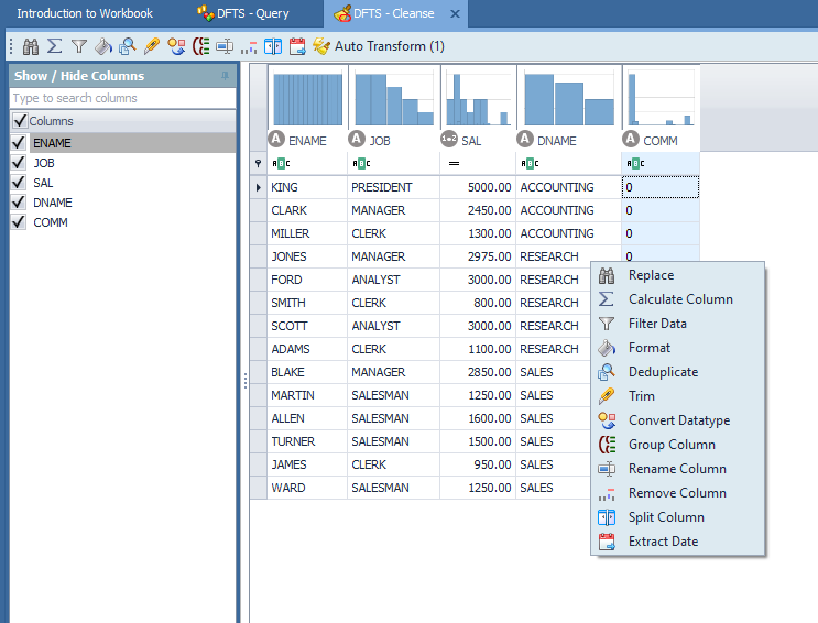 Toad Data Point Data Cleanse Calculated Column