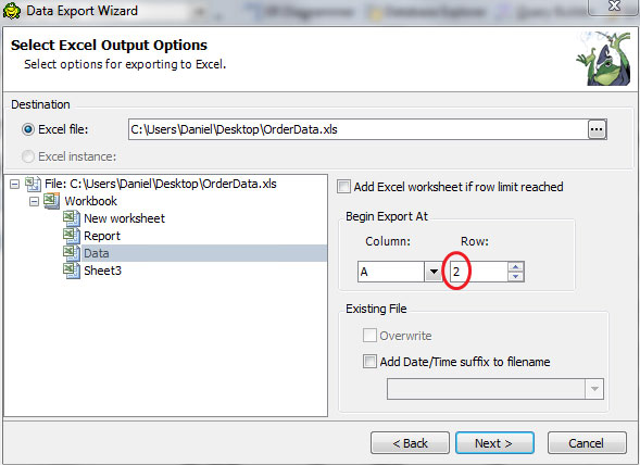 Selecting Excel Output Options