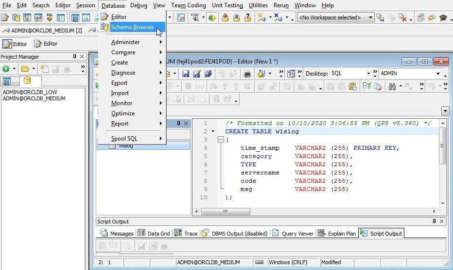 Figure 8. Database>Schema Browser 