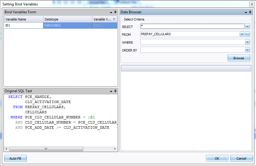 Figura 7. Pantalla Setting Bind Variables