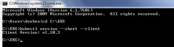 Figure 1. Outputting kubectl Version