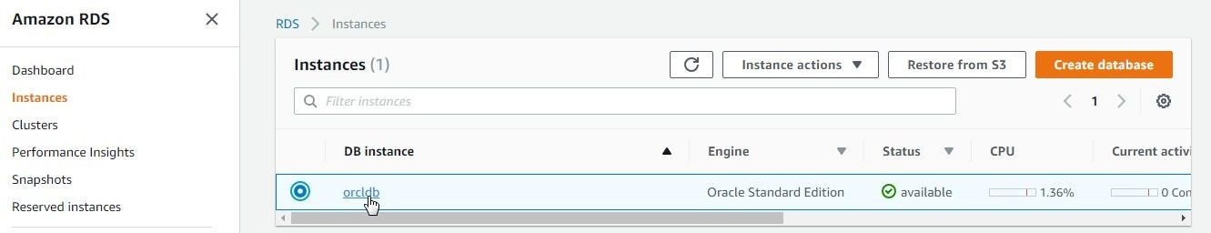 Figure 13. Clicking on the DB instance link