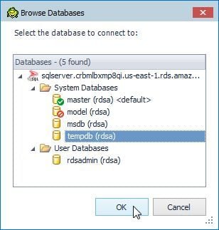 Figure 5. Browse Database-tempdb