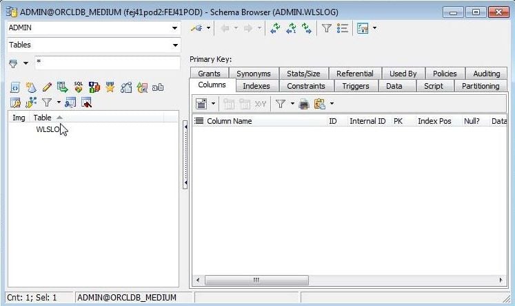 Figure 9. Schema Browser