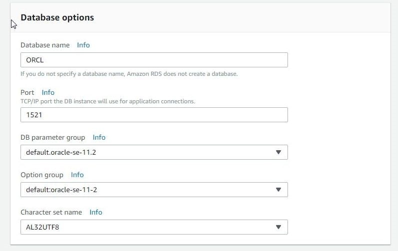 Figure 9. Selecting or setting Database Options