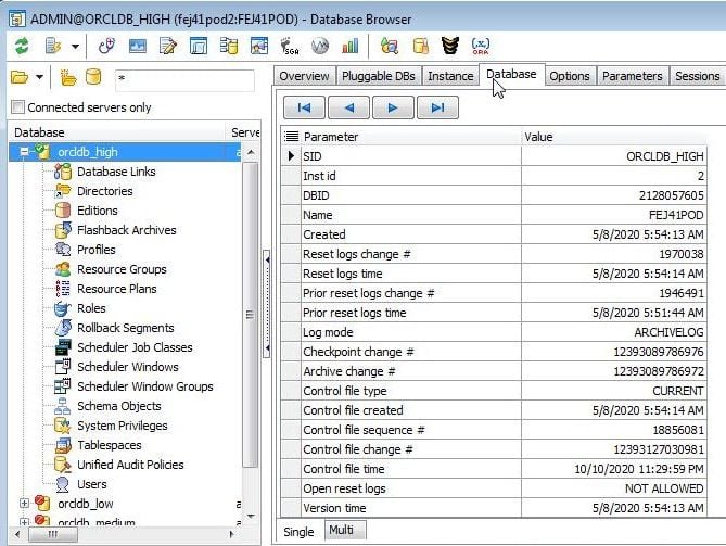 Figure 26. Database detail.