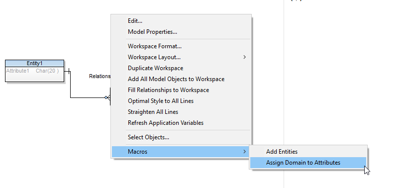 Screen shot showing designer node, Macros, Assign Domain to Attributes.