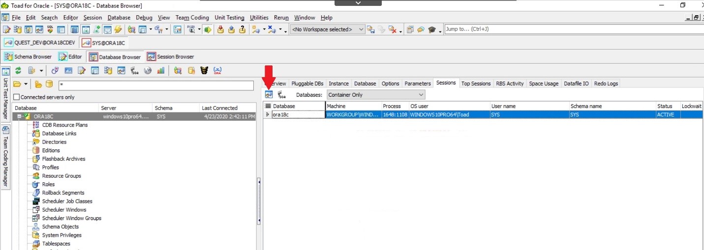 Toad for Oracle. Database Browser. Click on the Session Browser in the upper left.