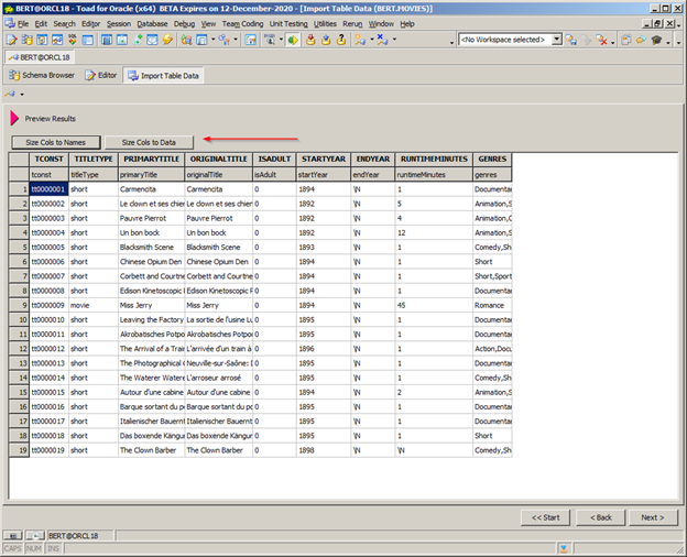 Figure 11: Page 7 of the data import wizard.