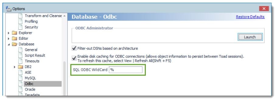 Menu showing set custom character. Options, Odbc drivers for connection to your database.  What's new in Toad Data Point Workbook 5.1.3.