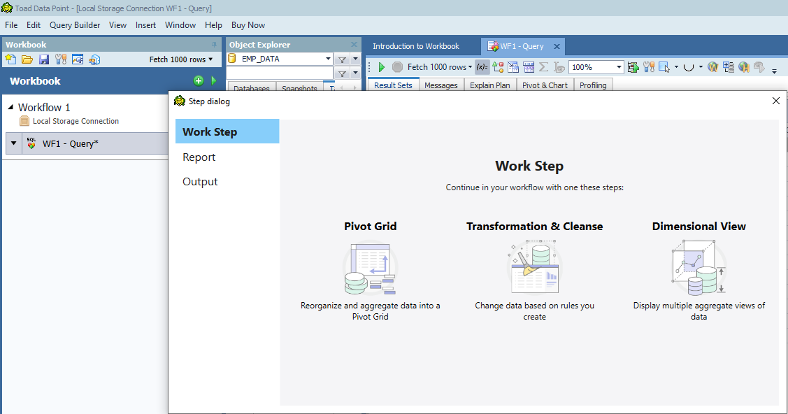 Toad Data Point Workbook Transformation & Cleanse