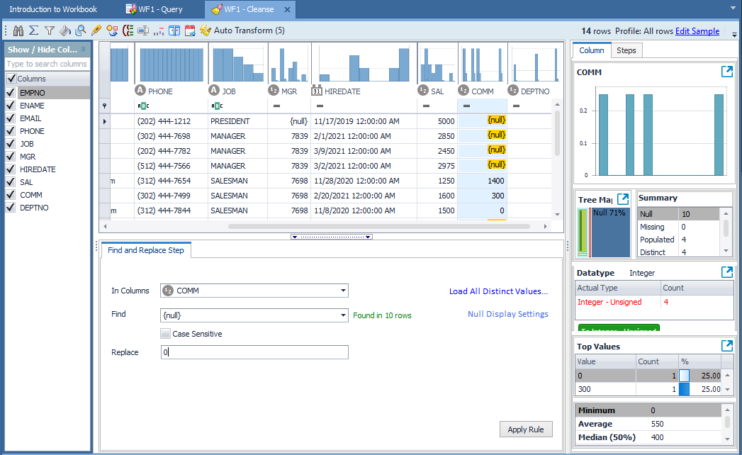 Toad Data Point Workbook Replace Template