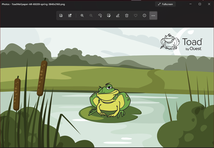 Toad Wallpaper in Windows Photo