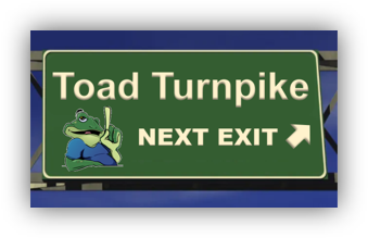 ToadTurnpikeExit_CorrectAspectRatio-1