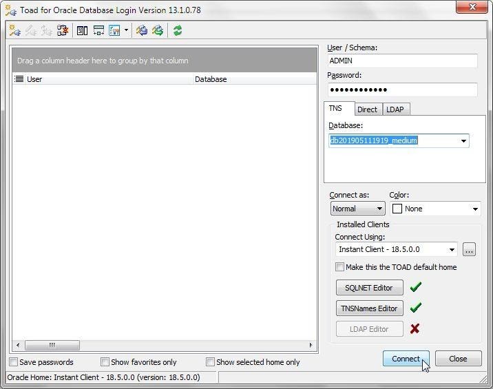 Toad for Oracle Login Dialog with connection information.