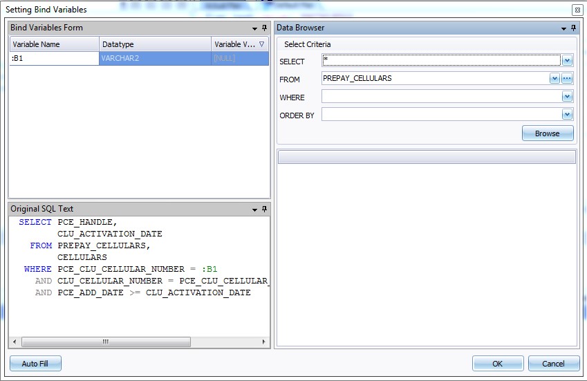 Figure 7: Setting Bind Variables Window