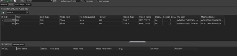 Figure 10: Session Browser – Locks Tab