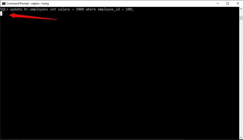 Figure 5: SQLPlus Session