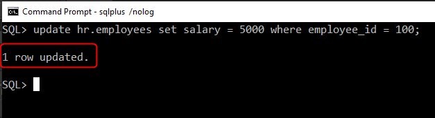 Figure 6: Update record on SQLPlus