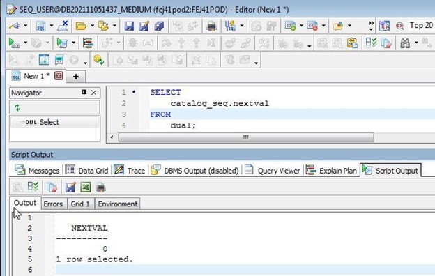 the next value in a database sequence-1