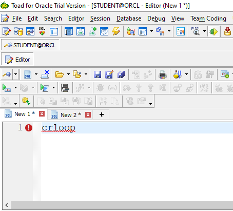 Toad for Oracle PL/SQL template example.